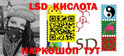 мдпв Гусев