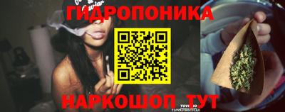 гидра Гусиноозёрск