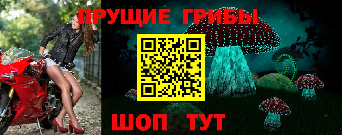 Кимовск  Галлюциногенные грибы Psilocybine cubensis  Вход с VPN 