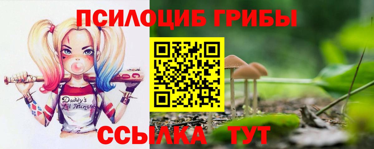 Псилоцибиновые грибы Magic Shrooms Кимовск